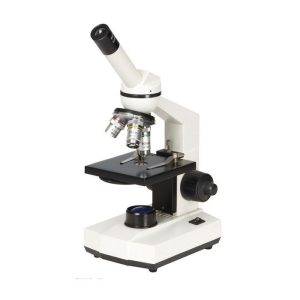 Microscope